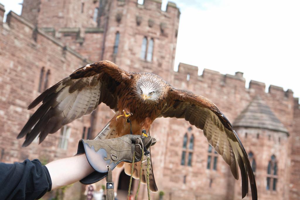 Peckforton Castle Tarporley Εξωτερικό φωτογραφία